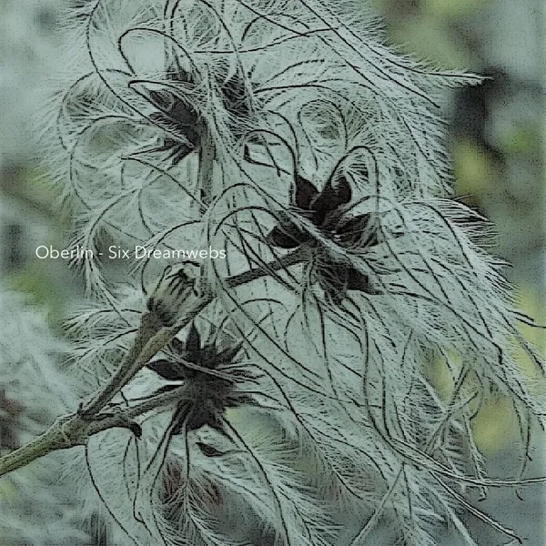 Six Dreamwebs