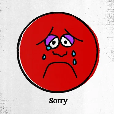 Sorry by Crooks & Nannies - album cover