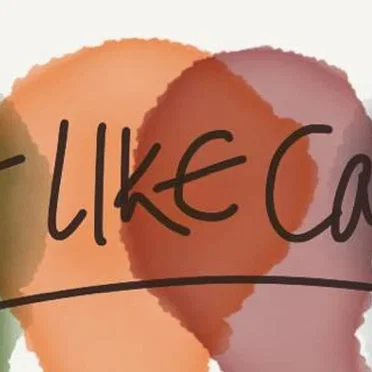 Soft Like Camel EP by Soft Like Camel - album cover