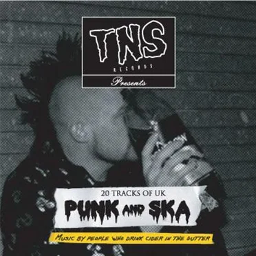 TNS Records, Volume 1: Music by People Who Drink Cider in the Gutter by Various Artists - album cover