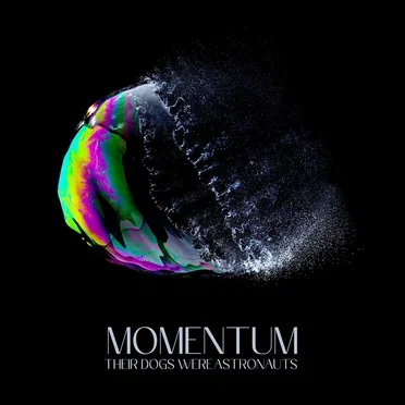 Momentum by Their Dogs Were Astronauts - album cover