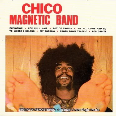 Chico Magnetic Band