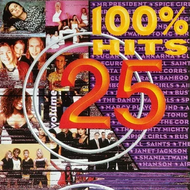 100% Hits, Volume 25 by Various Artists - album cover