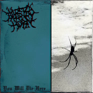 You Will Die Here by Twisted Horn - album cover