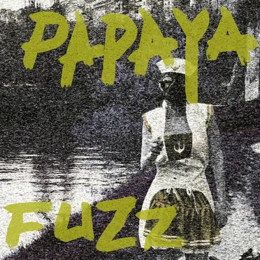 Get Bye Good High by Papaya Fuzz - album cover