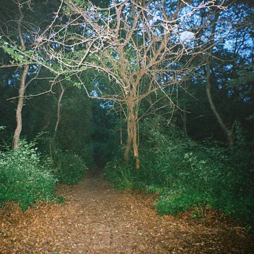 How Did You Get Here? (Strangers)