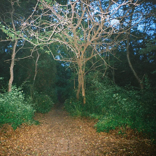 How Did You Get Here? (Strangers)