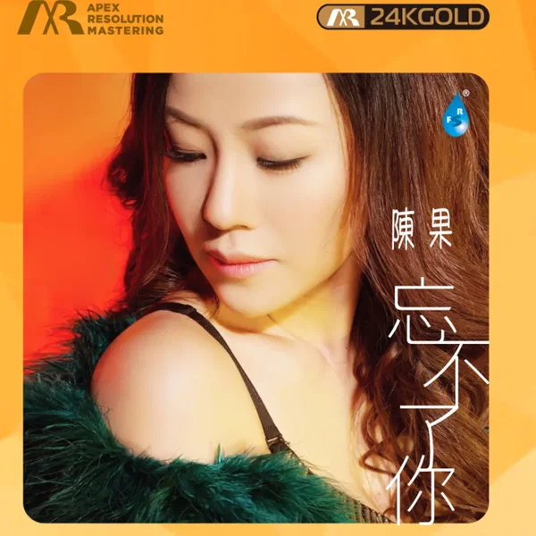 忘不了你 (ARM 24K Gold CD)