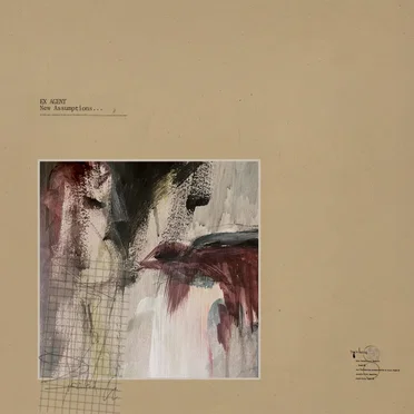 New Assumptions... by Ex Agent - album cover