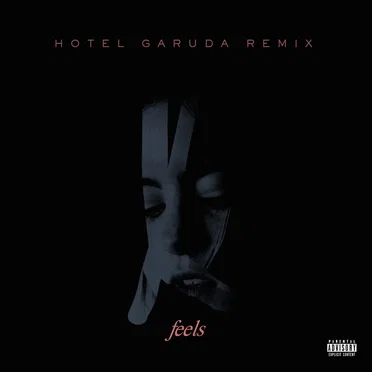 Feels (Hotel Garuda remix)