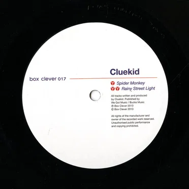 Spider Monkey / Rainy Street Light