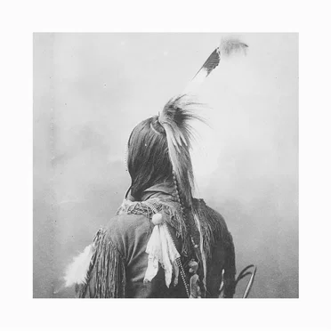 LOST BIRDS by WHO'S TO BLAME - album cover