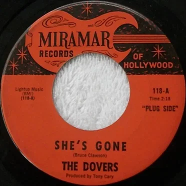 She’s Gone / What Am I Going to Do?