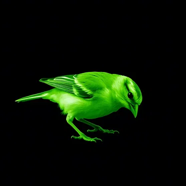 Little Bird Vol. 3