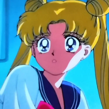 Accidentally Missed Recording: テレビの美少女戦士セーラームーン S