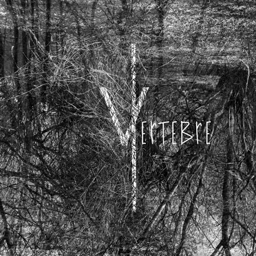 Vertèbre
