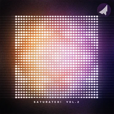 SATURATED! VOL. 2 by Various Artists - album cover