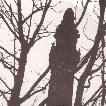 A Murder in the Company of the Vespertine by Various Artists - album cover