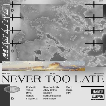 Never Too Late by Various Artists - album cover