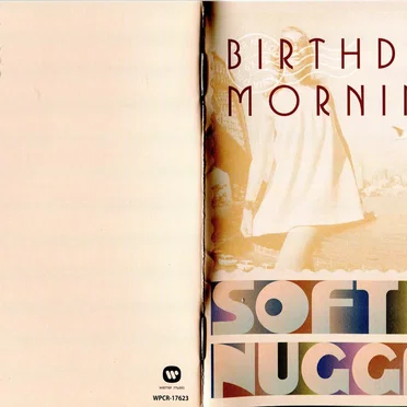 Birthday Morning: Soft Rock Nuggets Vol. 3 by Various Artists - album cover