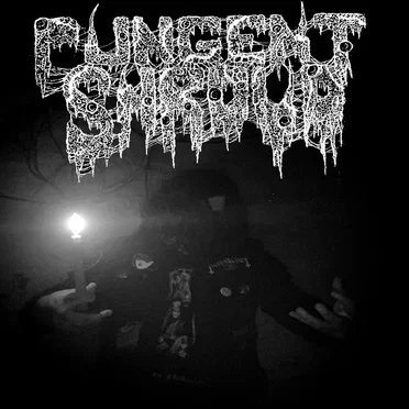 Demo by Pungent Shroud - album cover