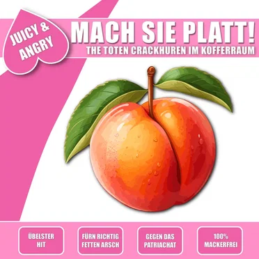 Mach sie platt! by The toten Crackhuren im Kofferraum - album cover