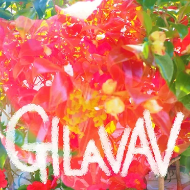 GILAVAV by mippopotamus - album cover