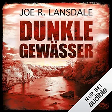 Dunkle Gewässer by Joe R. Lansdale - album cover