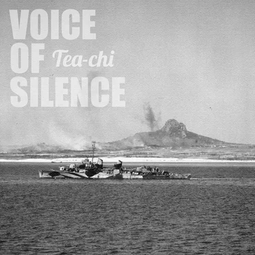 VOICE OF SILENCE