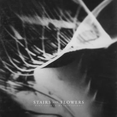 Wire Framed Mockingbirds by Stairs and Flowers - album cover