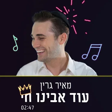 עוד אבינו חי by מאיר גרין - album cover
