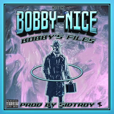 Bobby's Files by Bobbynice - album cover