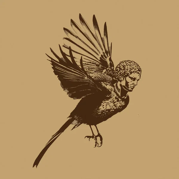 What Kind of Bird Am I