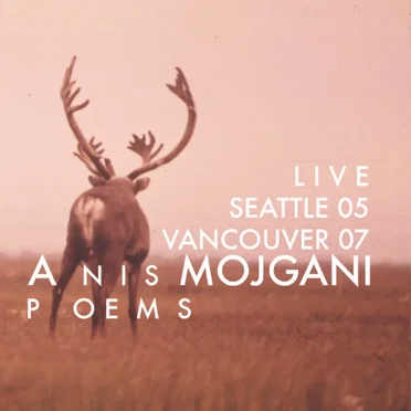 Anis Mojgani