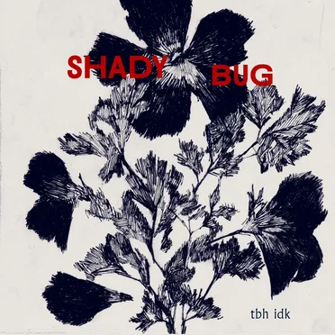 tbh idk by Shady Bug - album cover