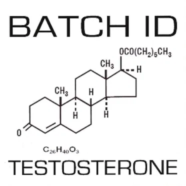 Testosterone by Batch ID - album cover