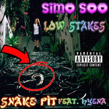 Simo Soo