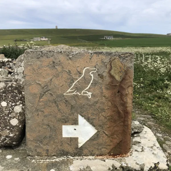 Orkney Ramblings