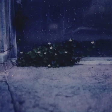 The Endless Sadness of the Shoreless Heart