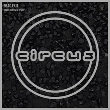 Snake (FuntCase Remix)