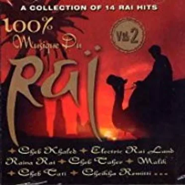 100% Musique du Rai Vol. 2 by Various Artists - album cover
