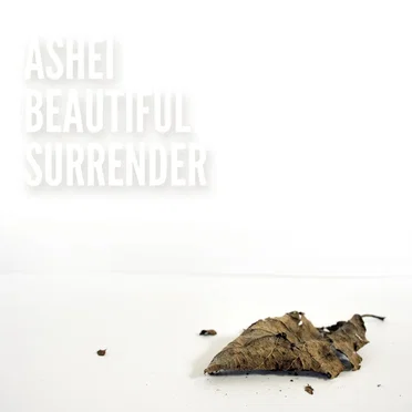 Beautiful Surrender