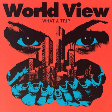 What a Trip by World View - album cover