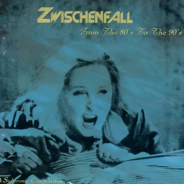 Zwischenfall: From the 80's to the 90's by Various Artists - album cover