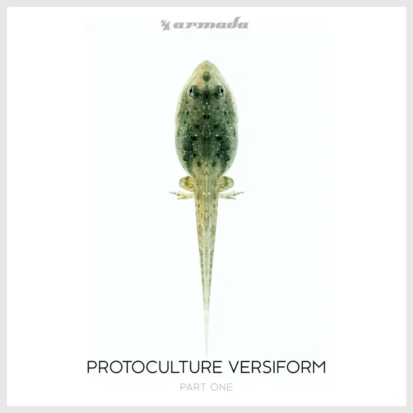 Versiform Part One