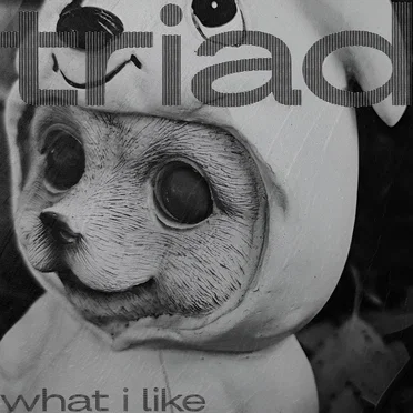 What I Like by Triad - album cover