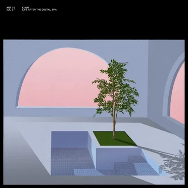 Life After the Digital Spa