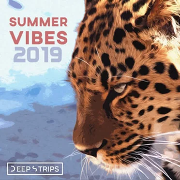 Summer Vibes 2019 by Various Artists - album cover
