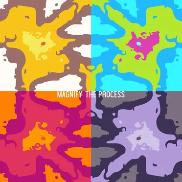 Magnify the Process by Pyler Totter - album cover