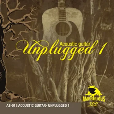 Unplugged 1: Acoustic Guitar by Various Artists - album cover